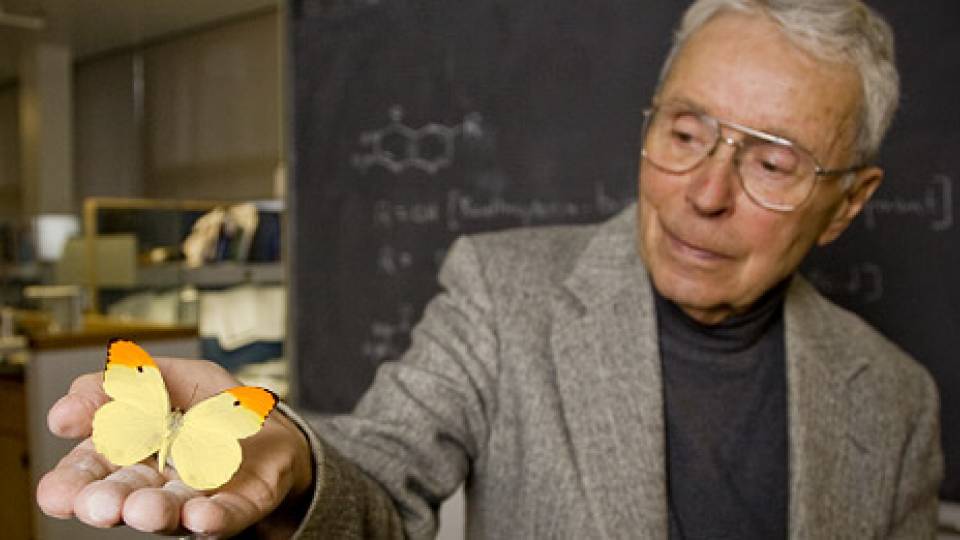 Professor Taylor