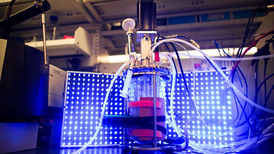 bioreactor
