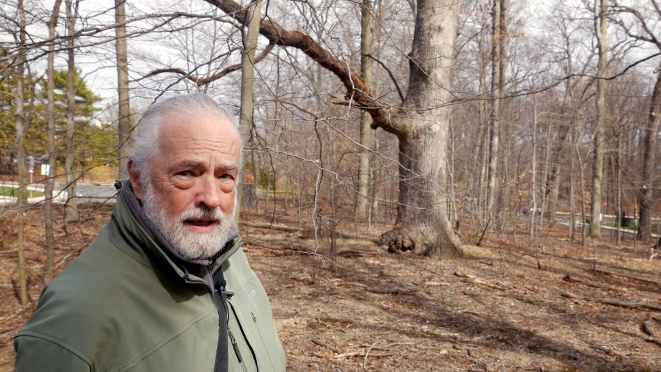Henry Horn in woods