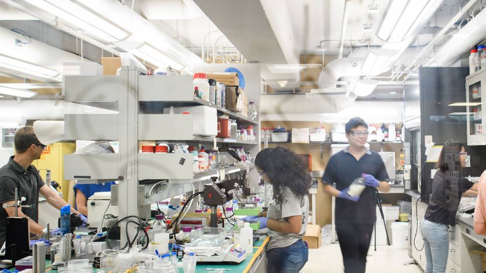 Panorama of Howard Stone's Lab