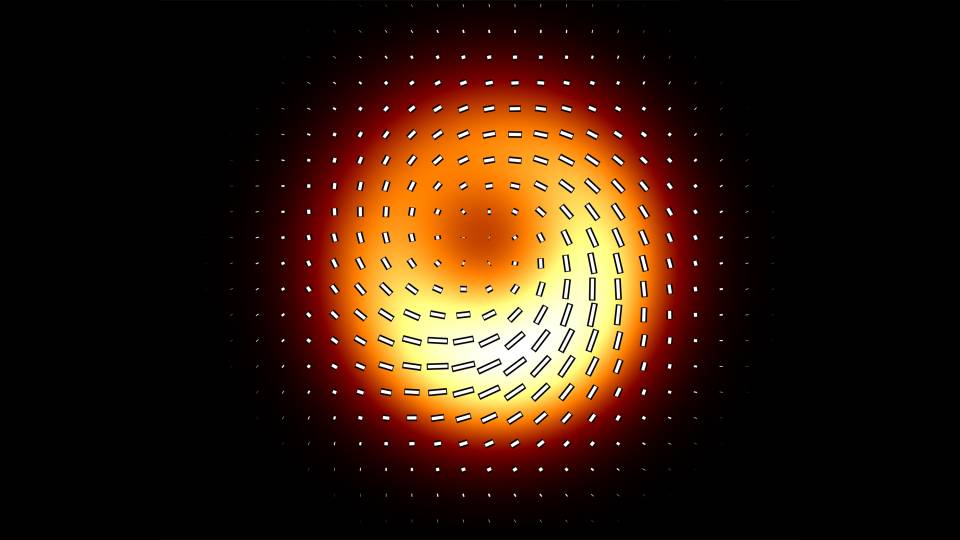 Black hole M87*
