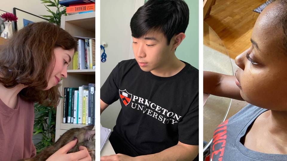 Charlotte Adamo, Jason Hong, Kiersten Rasberry