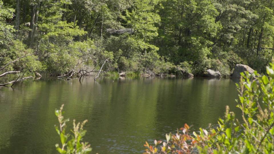 Lake in Harriman State Park