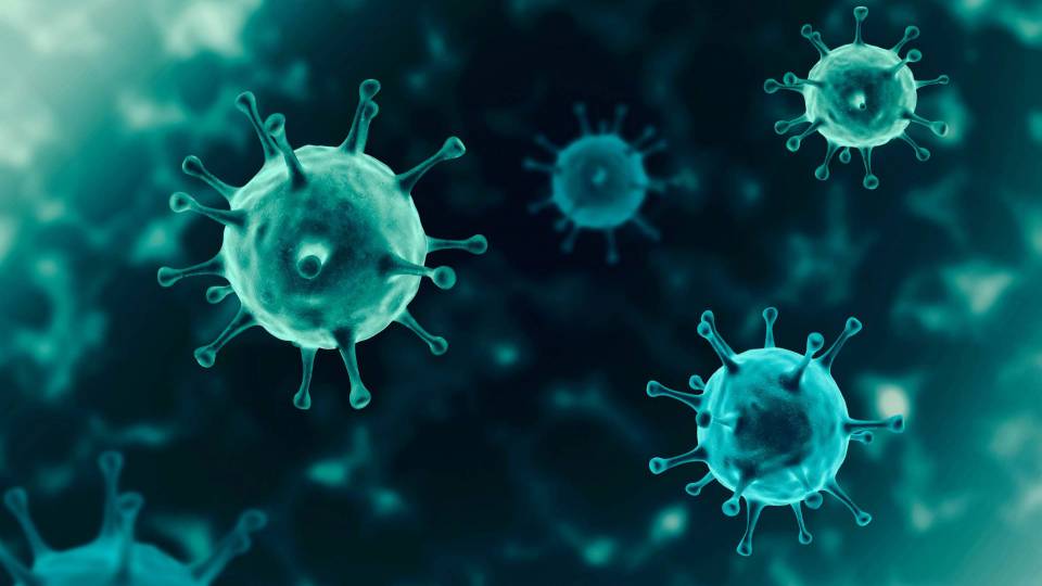 Illustration of the coronovirus