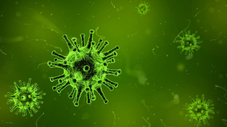 flu virus